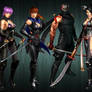 The Ninja Gaiden Team (Black suit)