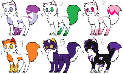 Adoptables (open) cats