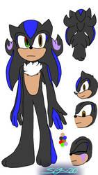 Shadic Dark Hedgehog 