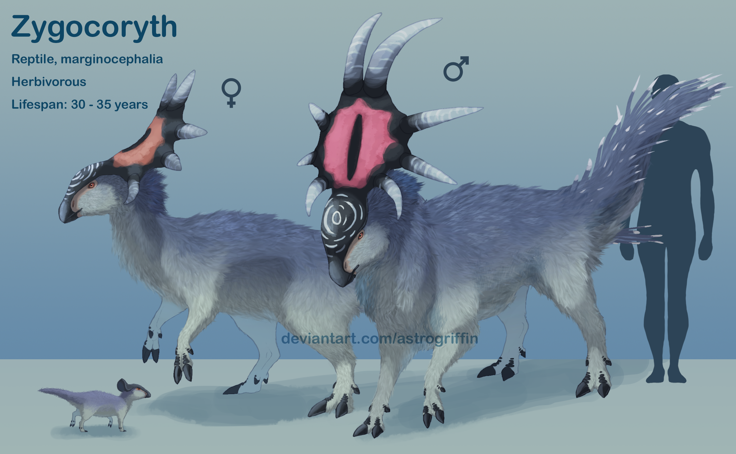 Creatures of TBR: Zygocoryth