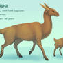 Art Commission - Wispa