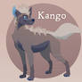 Kango