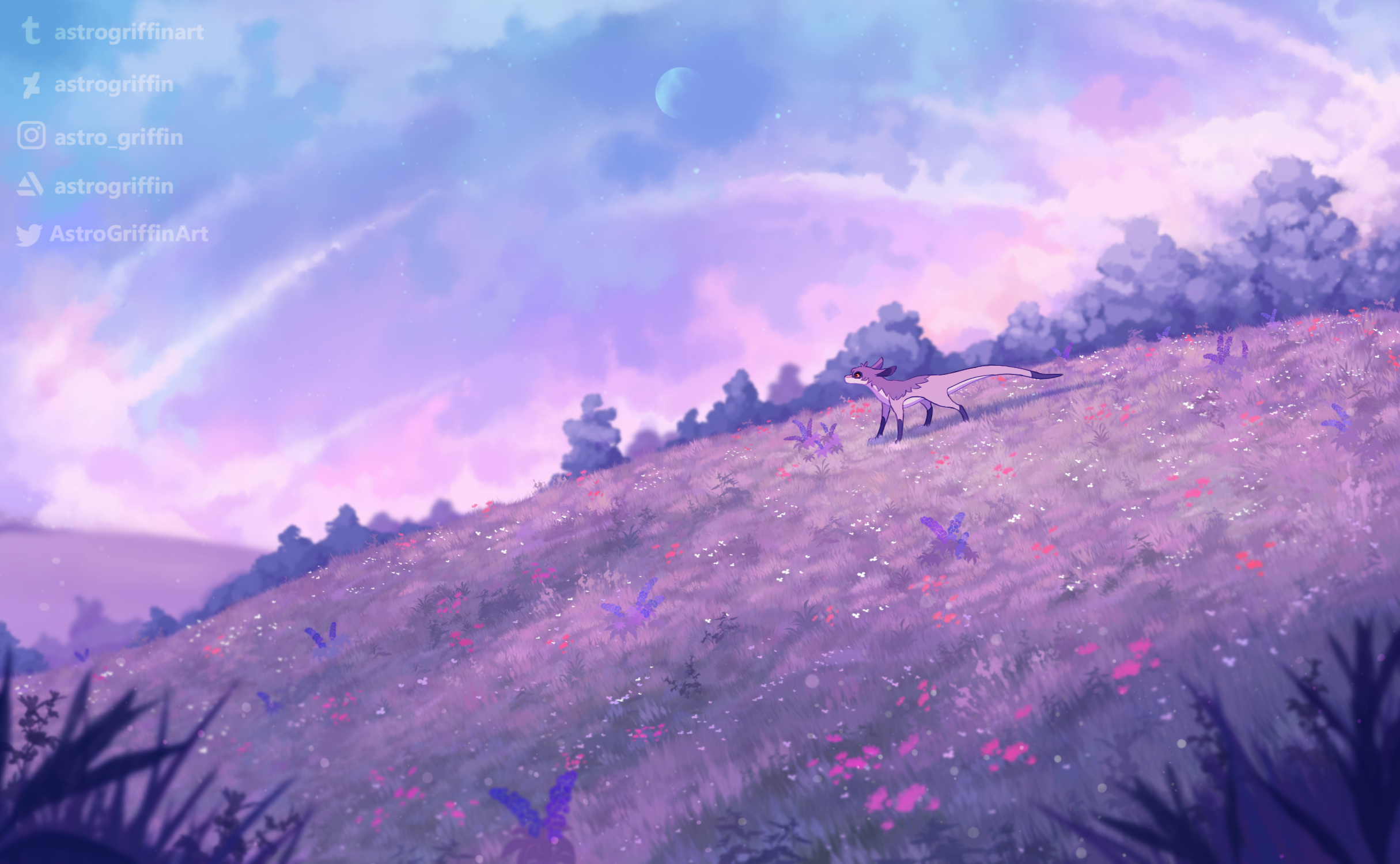 Dawn