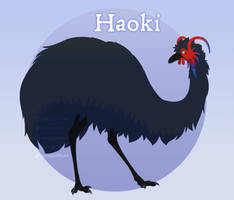 Haoki