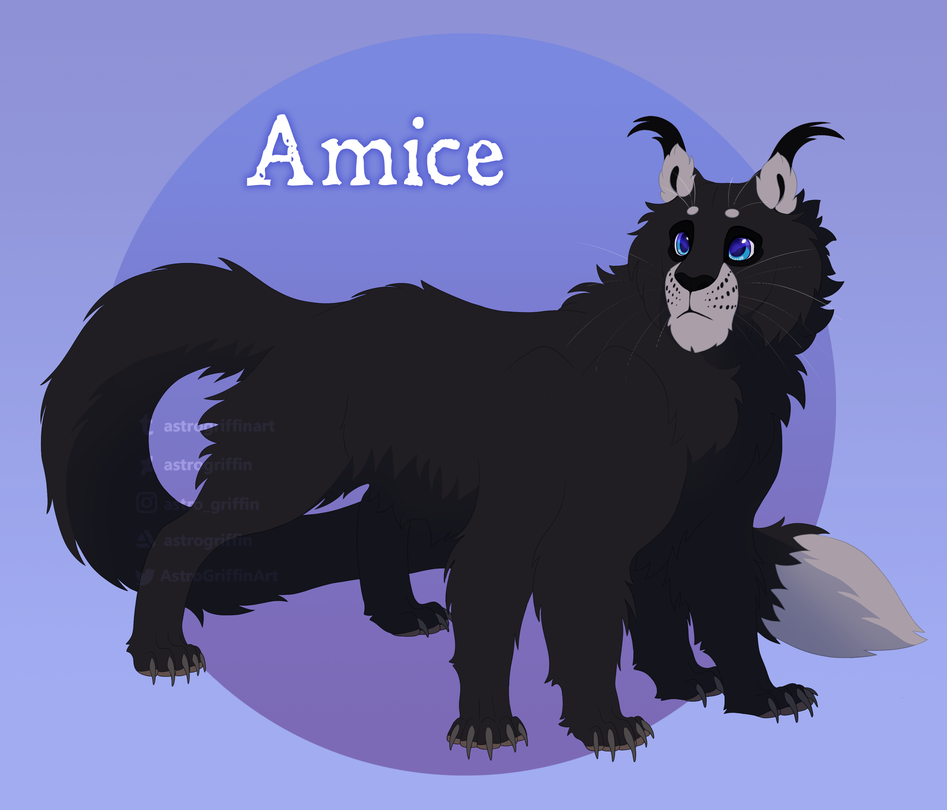 Amice
