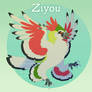 Ziyou