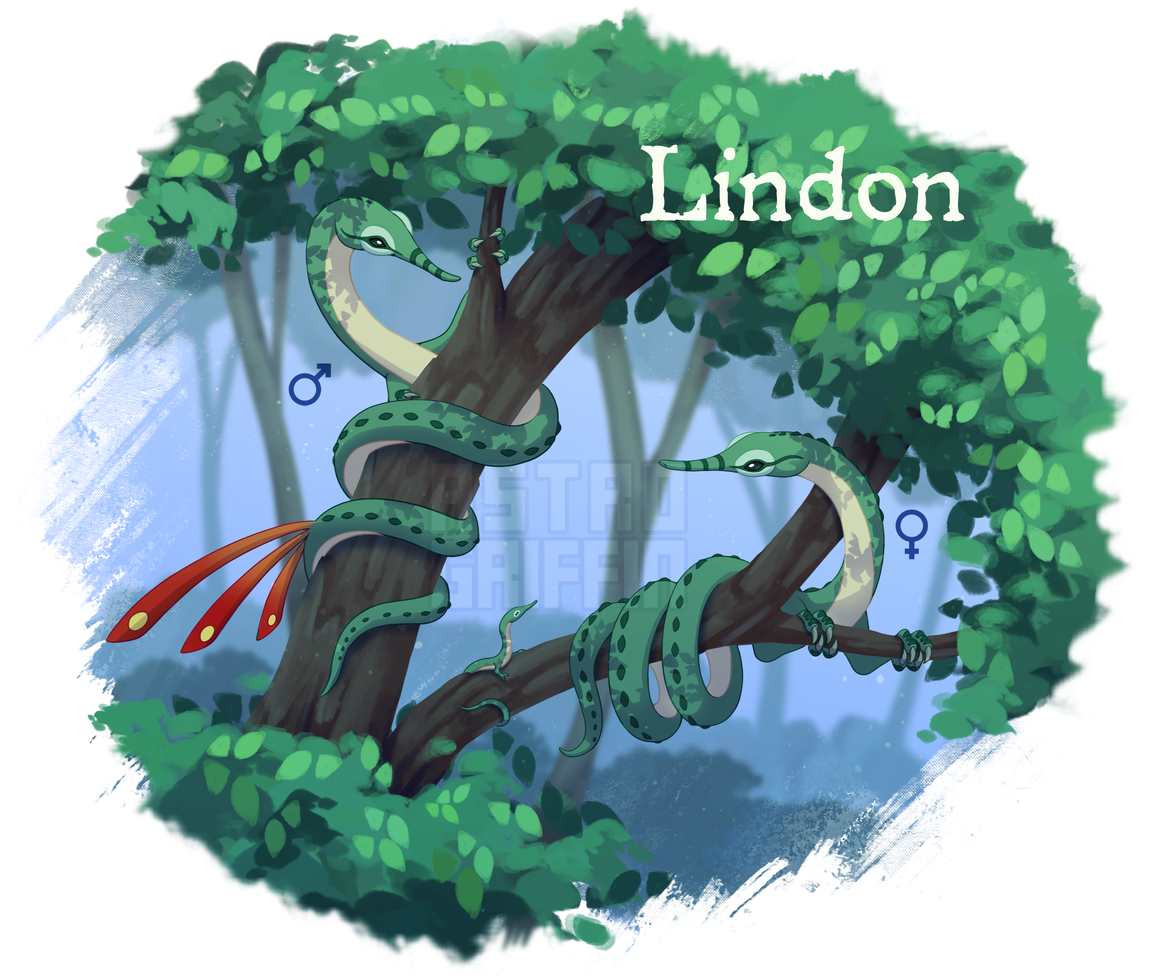 Lindon