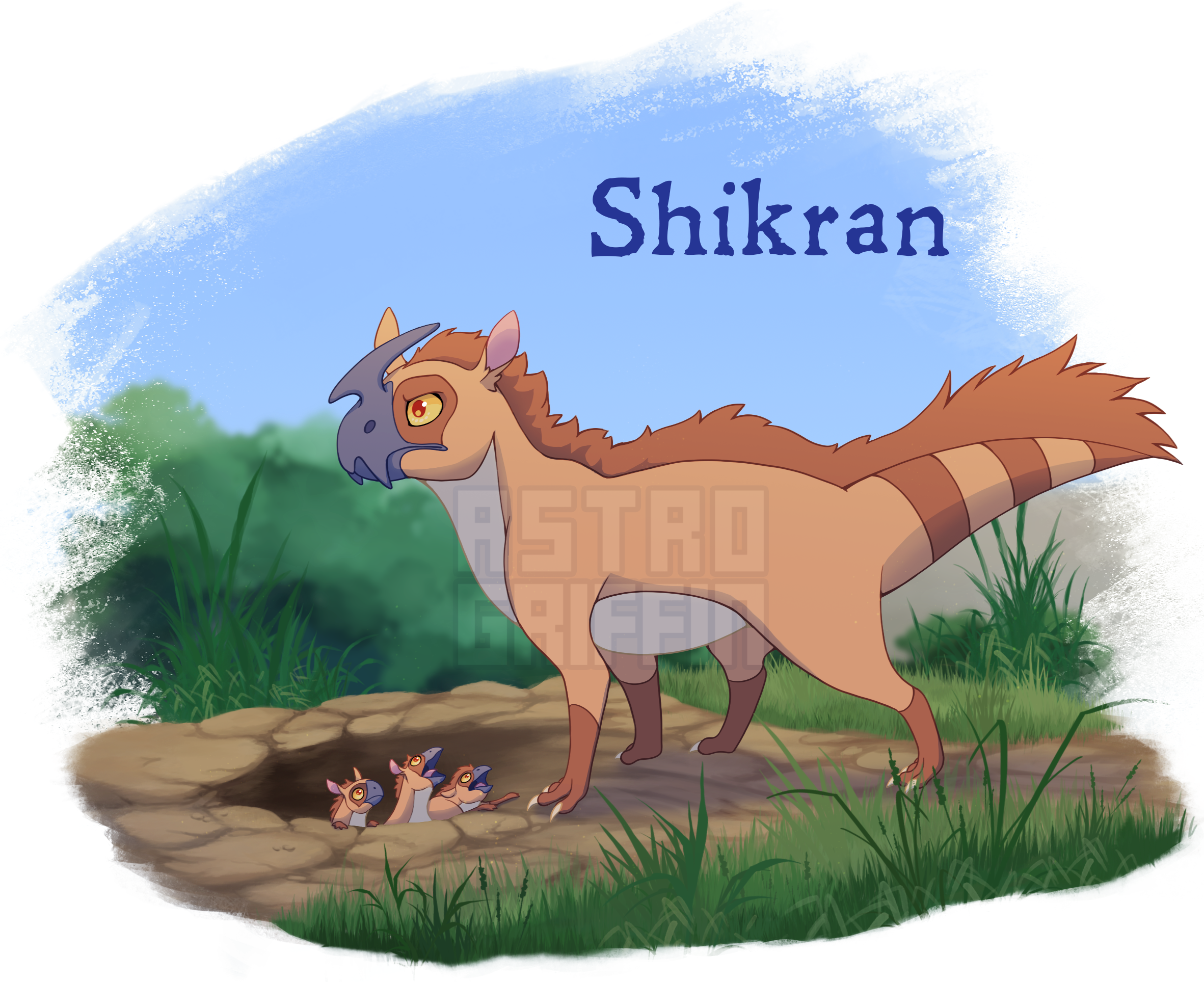 Shikran