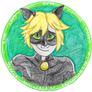 Badge Chat Noir