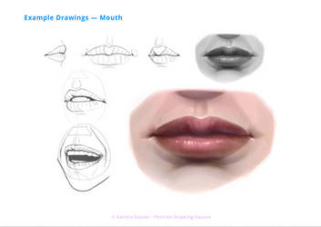 How to draw the Mouth [Course Excerpt]