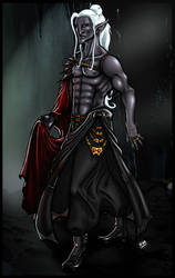 Drow wizard