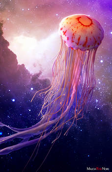 Jellyfish in space