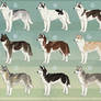 Seppala/Siberian Husky Imports Sheet #2 CLOSED