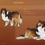 SR Rough Collie - Kina