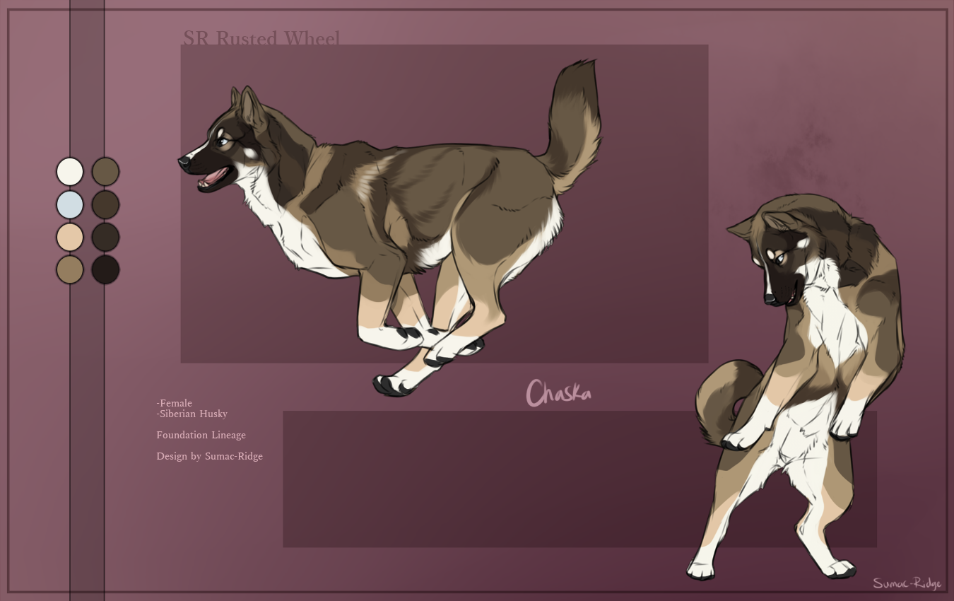 SR Siberian Husky - Empire by Sumac-Ridge on DeviantArt