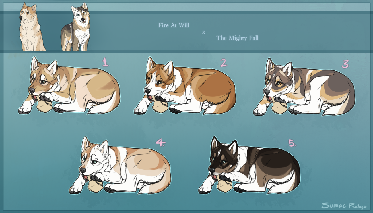 SR Siberian Husky - Empire by Sumac-Ridge on DeviantArt