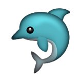 160x160x229-dolphin.png.pagespeed.ic.MJ1UvMJCjU