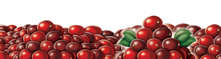 Cranberries 1