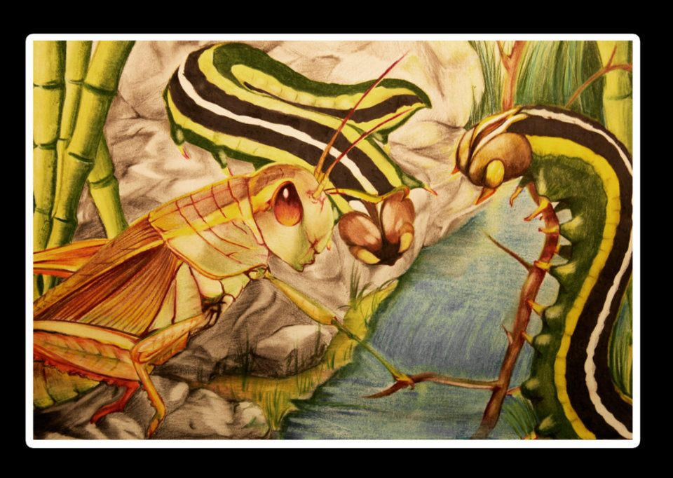 Insect Gathering by PICTURVICTOR on DeviantArt