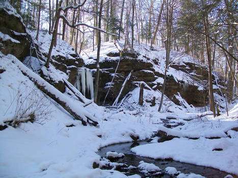 Frozen Falls