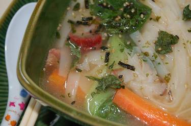 Wide Rice Noodles in Soup