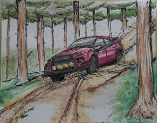 Rally Lancer Evo X