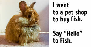 Fish The Bunny