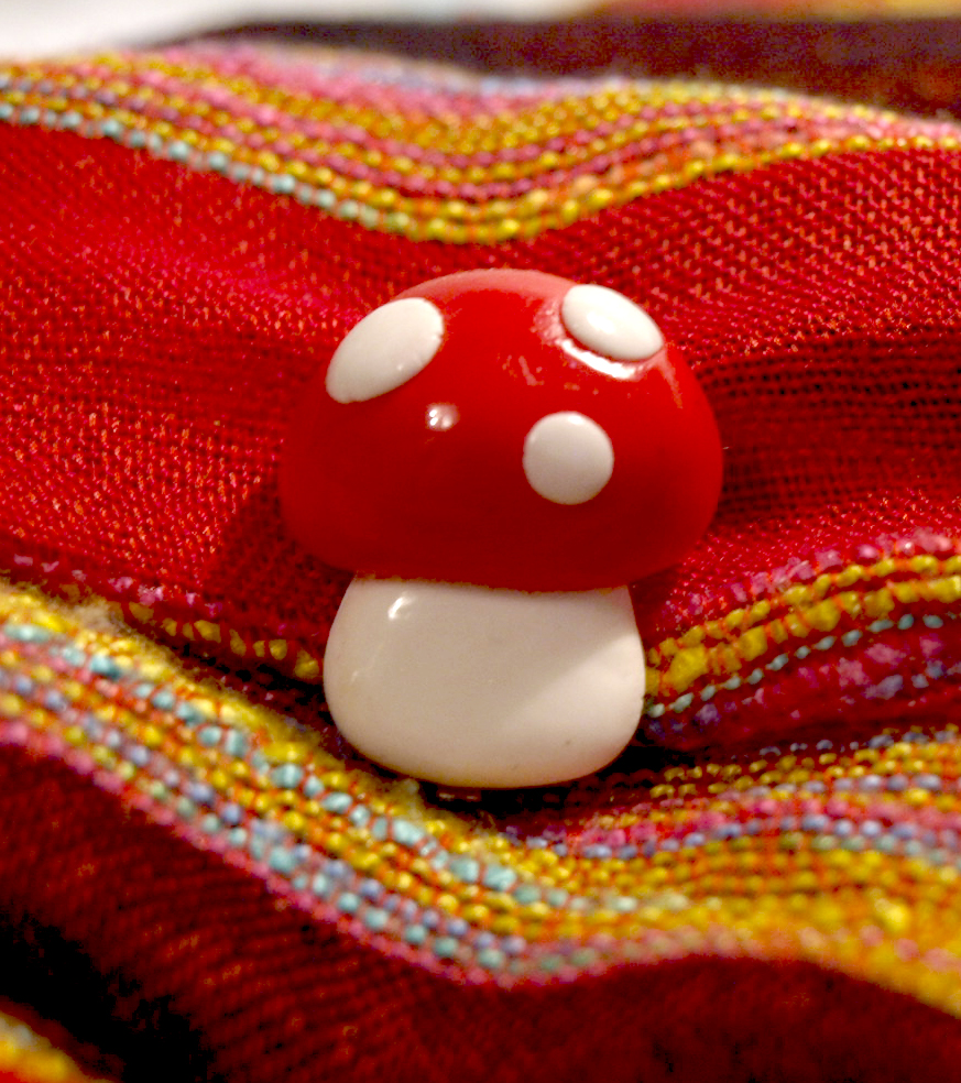 Mushroom fimo pin