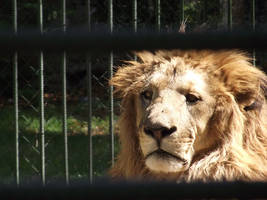 Zoo 3  - Ankara - TURKEY