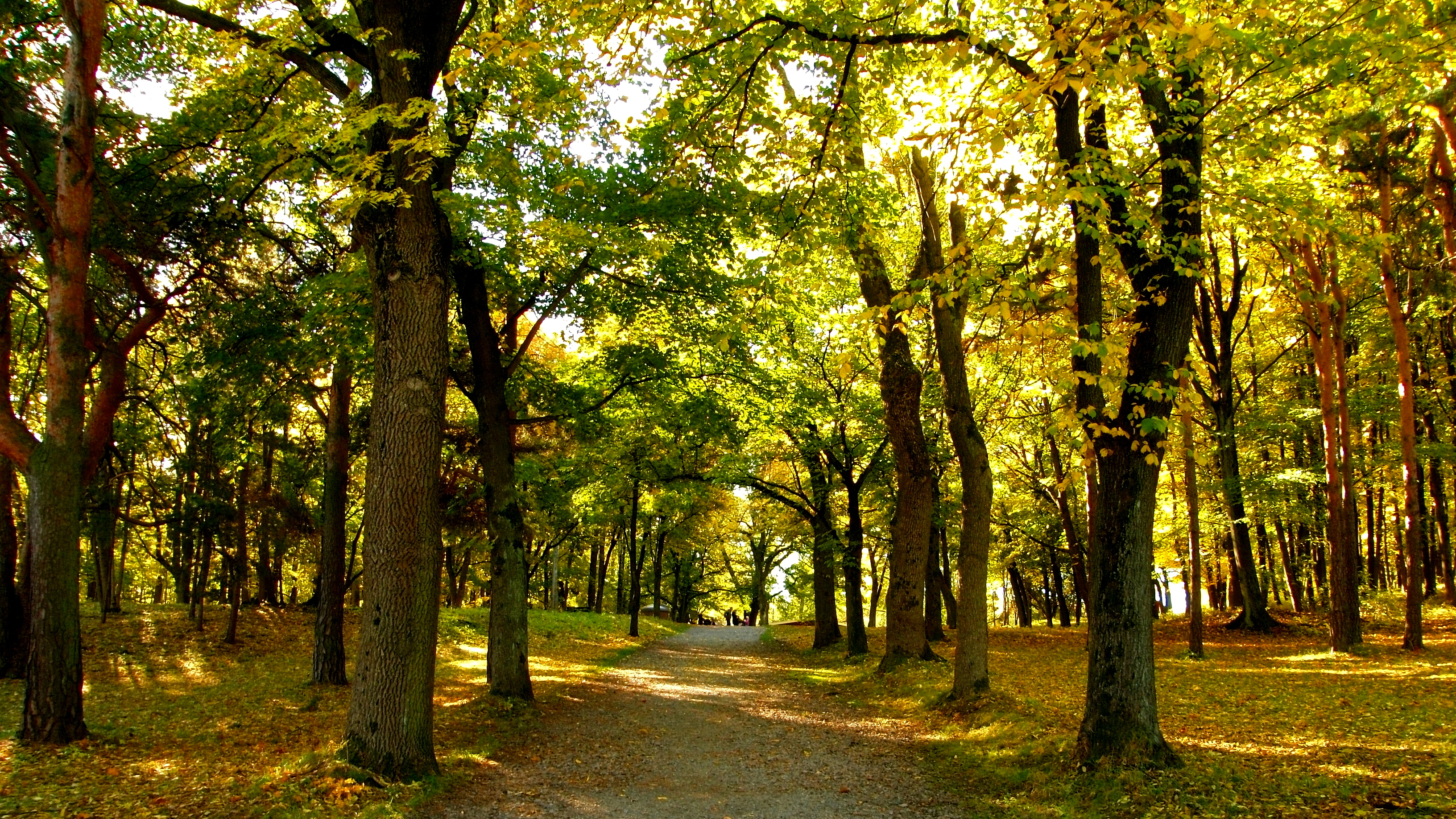 Autumn in Oslo