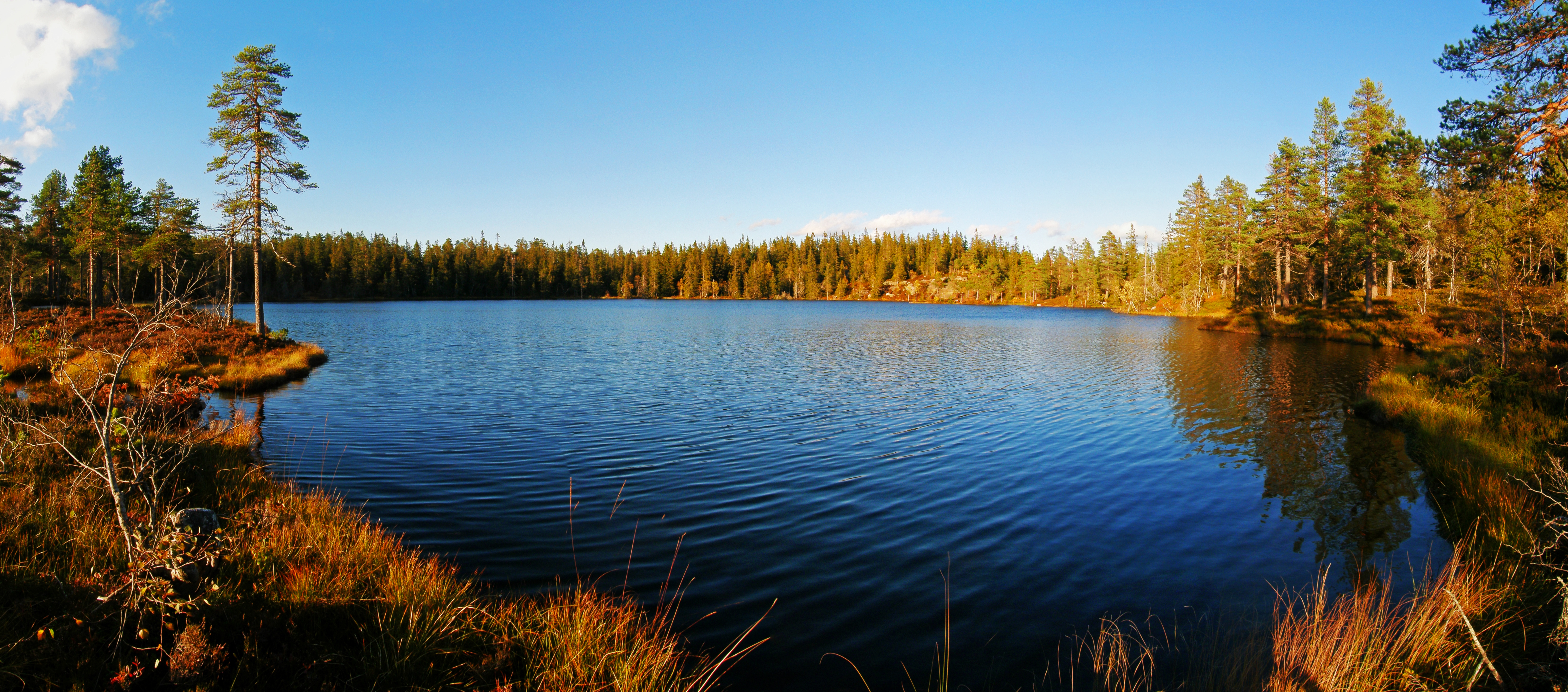 Forgotten lake