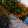 Coastal walk