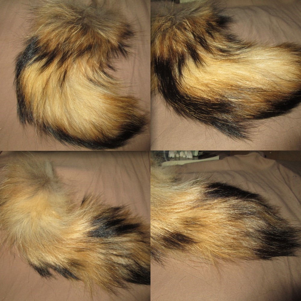 Real Finland Raccoon Tails Taxidermy For Sale!