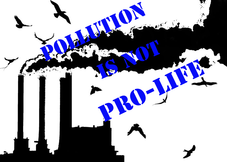 Pollution is Not Pro-Life