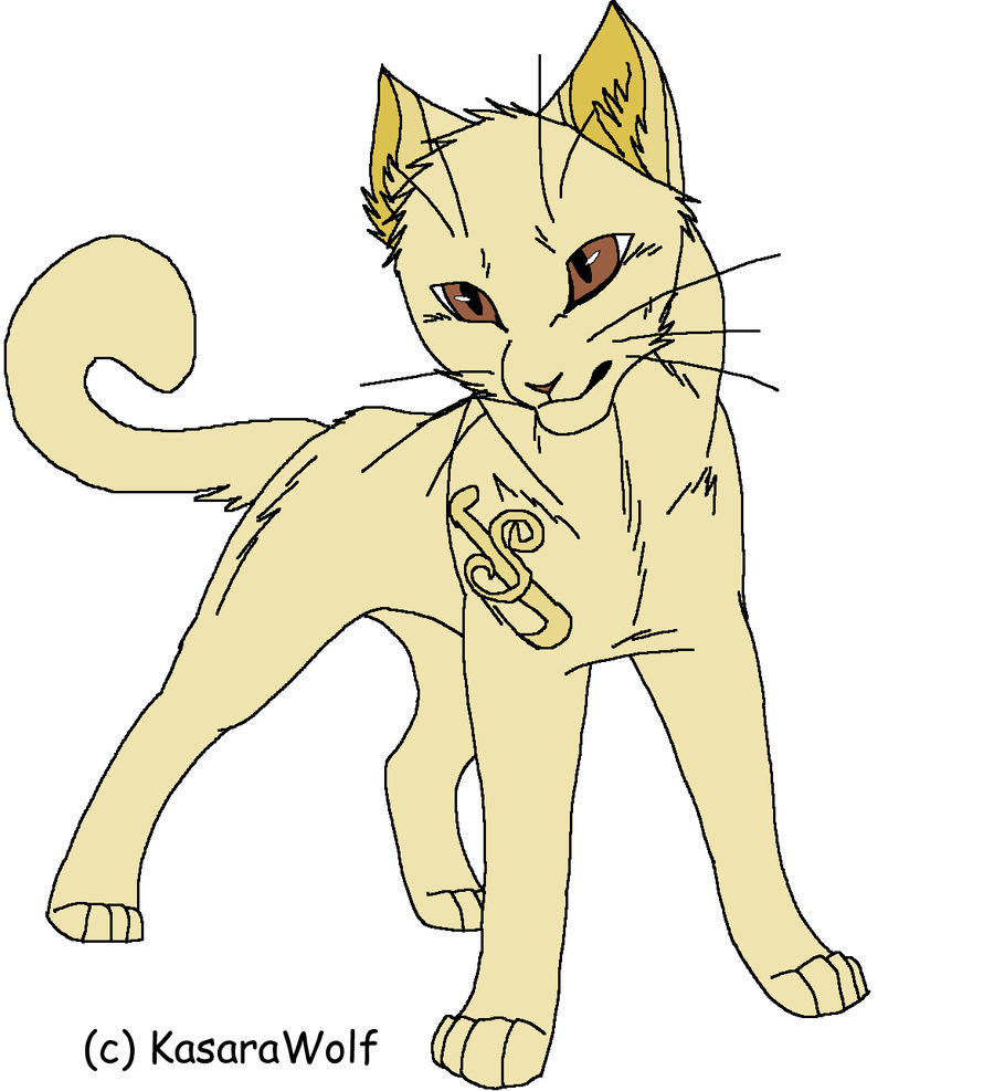 Senari by Leopardclawthecat on DeviantArt