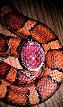 Preciouss Snakeskin Pendant