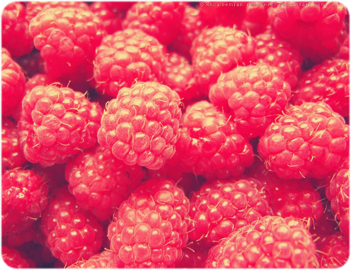 Raspberry Delight