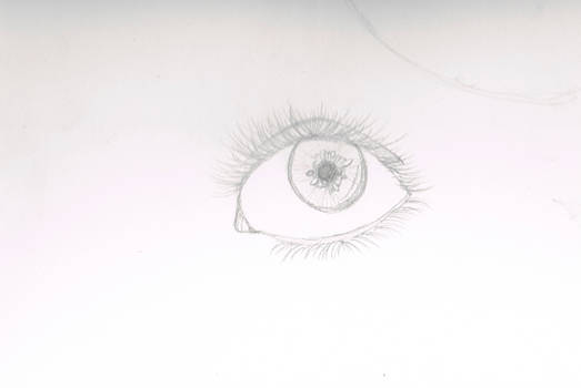 Eye study