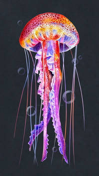 The digital jellyfish