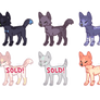 pupper adopts [open 4/6]