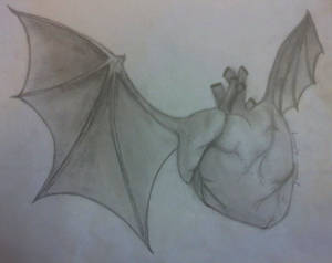 Bat heart thing