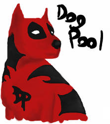 DogPool