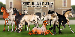 .-. IHS ZLESDINS FOALS - FLAT SALE - CLOSED .-.