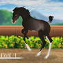 Lineage foals sale - 7/7 OPEN