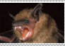 bat stamp