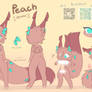 Peach reference | my fursona