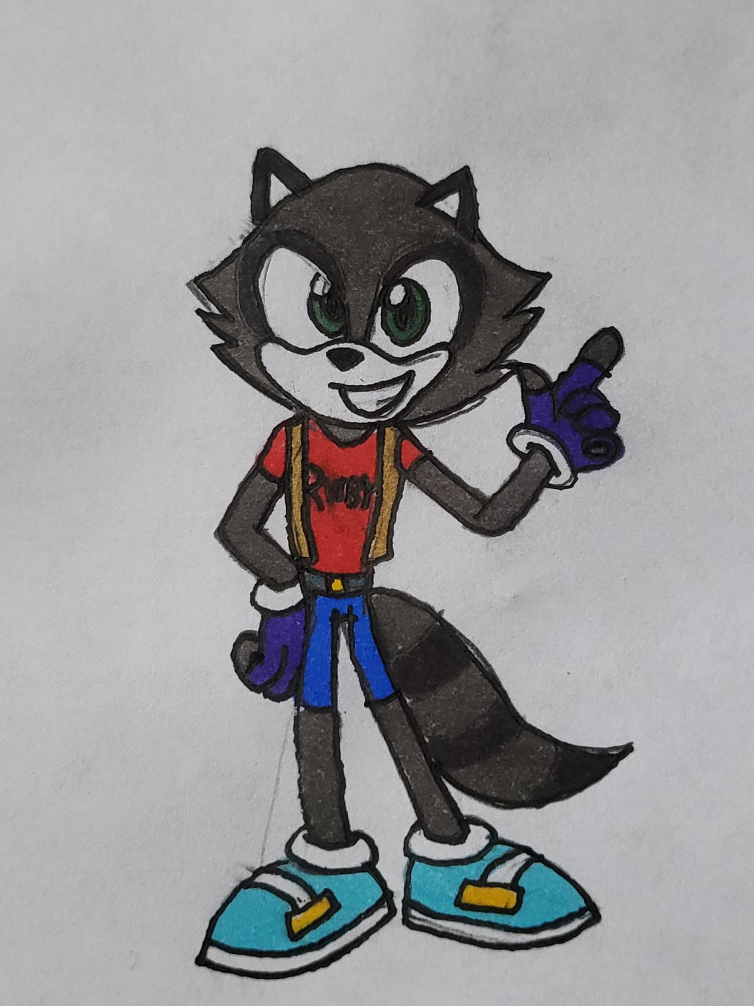 Rocky Rakoon Poster Deviantart Rocky the Raccoon by Taranis-the-Hedgehog on DeviantArt