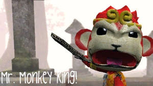 Mr. Monkey King