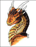 Draco by Nara87
