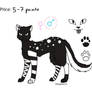 Black and White Cat Adopt CLOSED